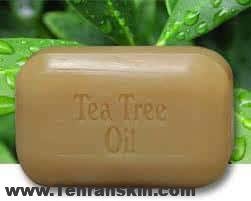 صابون  تی تری ( Tea Tree)