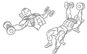 تمرینات ورزشی برای بزرگ کردن سینه