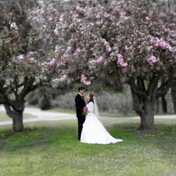 بهترین عکس های عروسی های زیبای تاریخی