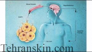 گرسنگی شدید عملکرد مغز رو تحت تاثیر قرار می دهد و سبب می شود که برخی سلول های مغزی در فرد احساسات ناخوشایند ایجاد کنند