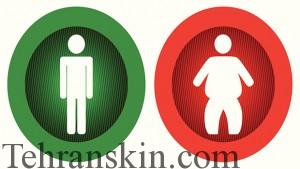 Bilberry-Tempers-Inflammation-Associated-with-Metabolic-Syndrome