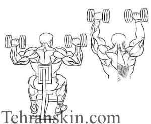 دمبل بالای سر