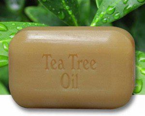 صابون ساخته شده از صمغ درخت چای