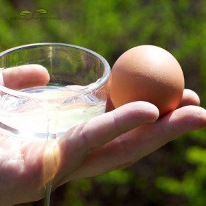 ماسک سفیده تخم مرغ برای رفع جو سر سیاه