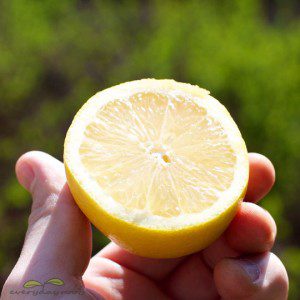 آب لیمو برای رفع جوش سر سیاه