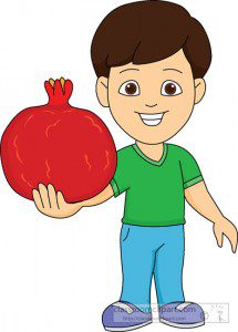 انار میوه خون ساز