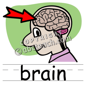 راهکارهای جوان نگاه داشتن مغز