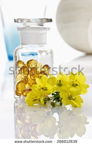 گل مغربی موثر در درمان آکنه