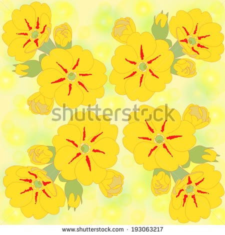  شرایط کمک کننده گل مغربی