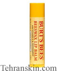 Burt's Bees Beeswax Lip Balm with Vitamin E & Peppermint