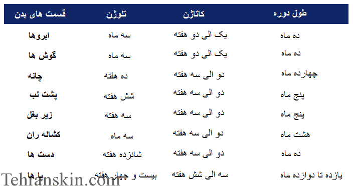 مراحل چرخه رشد مو