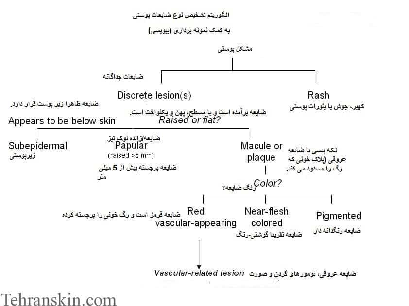 موثرترین نمونه برداری از ضایعات پوستی