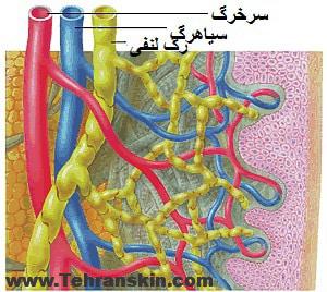 قویترین رابطه سنگ صفرا-پوست و مو