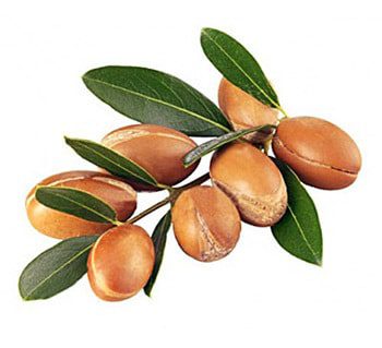 روغن آرگان اصل گیاهی