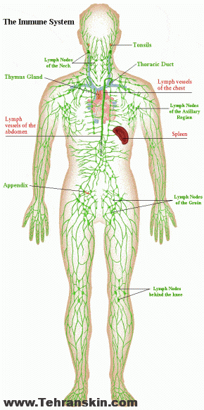 بهترین مرکز لیزر تاتو کیوسوییچ