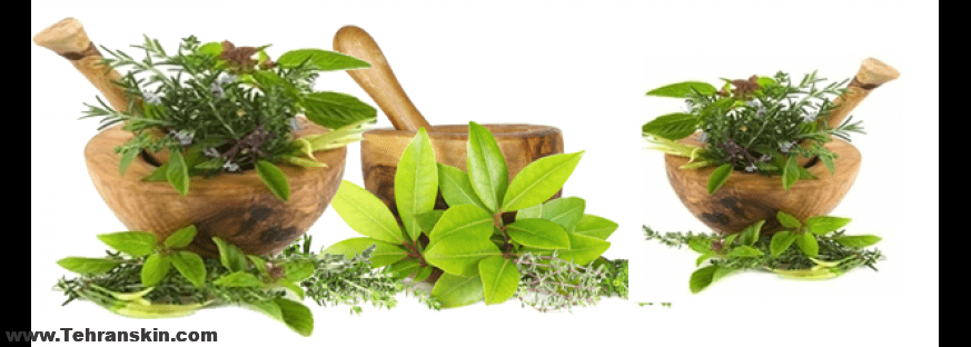 بهترین گیاهان دارویی