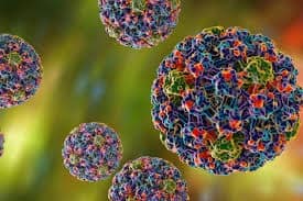 عکس واقعی ویروس HPV