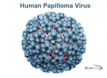 شکل ویروس غالب hpv16