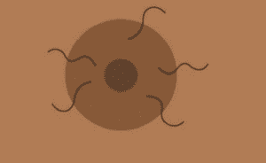 لیزر موهای زائد نوک سینه