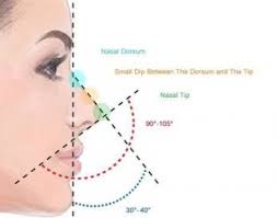 انواع مختلف جراحی زیبایی دماغ (رینوپلاستی)