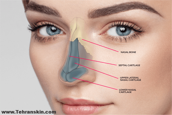 عمل زیبایی بینی