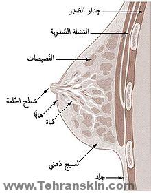 ما هي خطوات عملية رفع الثدي؟