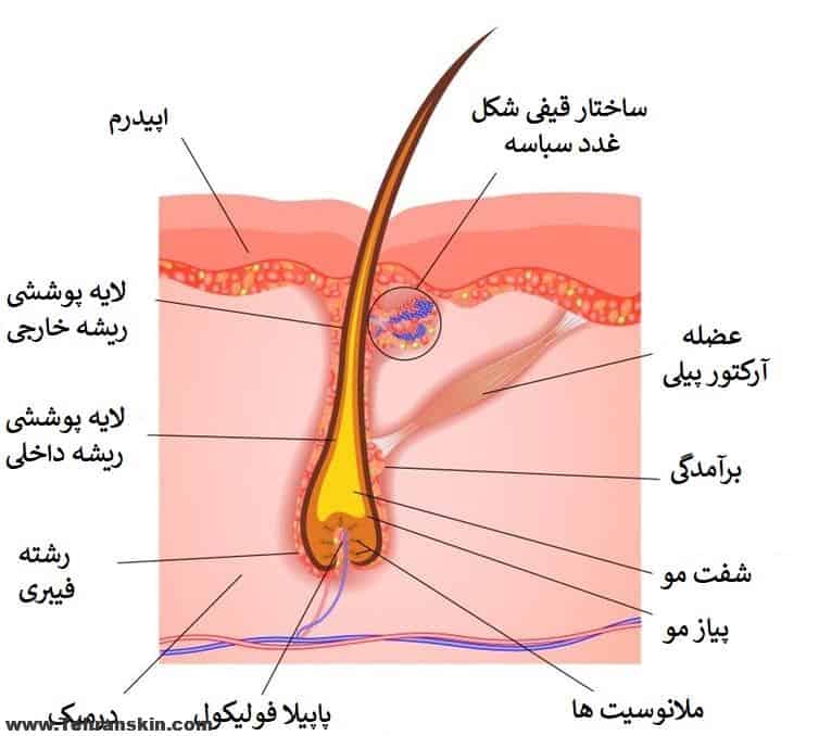 بهترین مرکز لیزر در اهواز