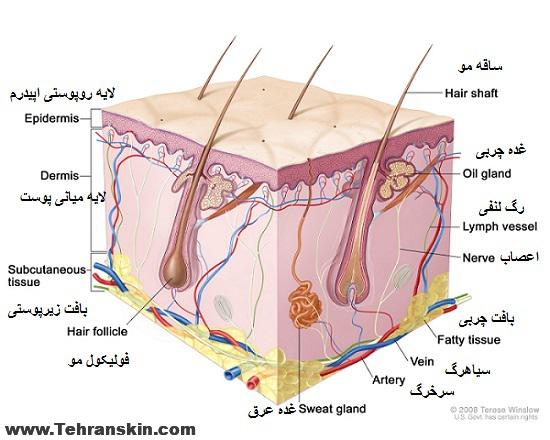 بهترین روش لیفت صورت چیست؟