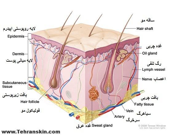 تجربه عوارض کوکتل مزوتراپی و میکرونیدلینگ 