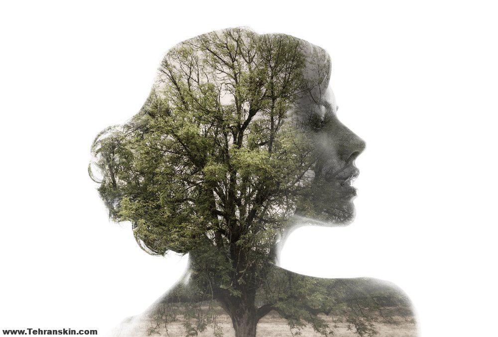 بهترین عکاس تهران